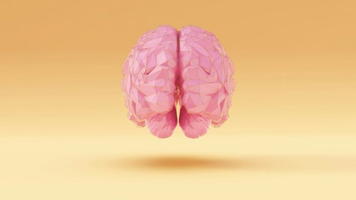 0-How your diet can help prevent Alzheimer